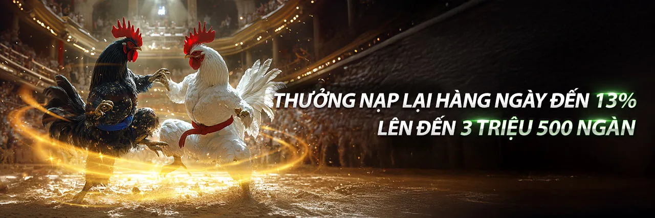 Đá Gà Trực Tuyến 789be - Các trận đấu gà kịch tính